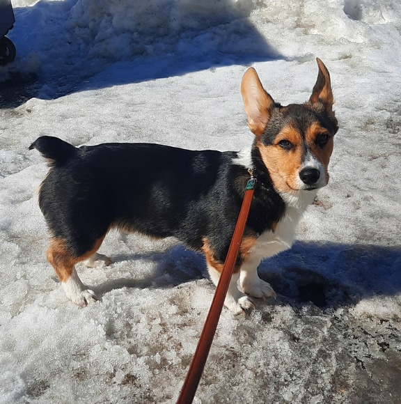 Meet the Posher Other - Meet your Posher, Stephanie